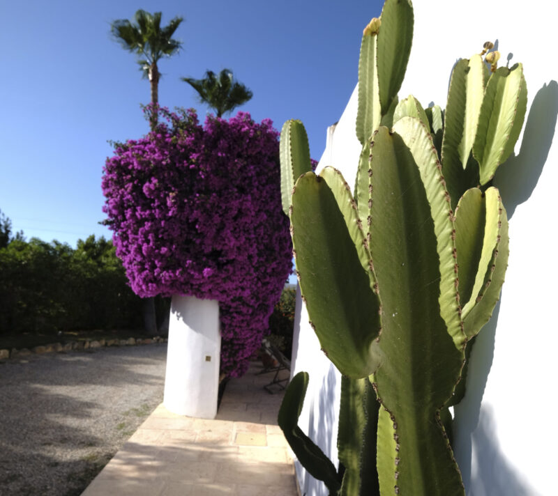 Casa azul in Ibiza